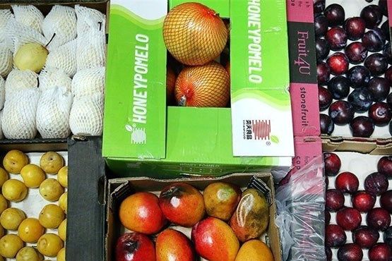 جولان ۱۸ نوع میوه قاچاق در بازار