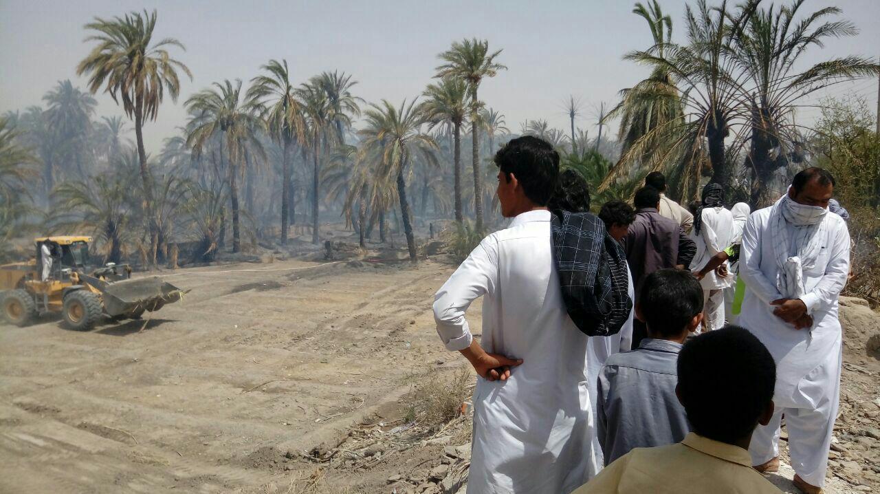 آتش‌سوزی دو‌هزار اصله‌نخل‌خرما در‌شهر 