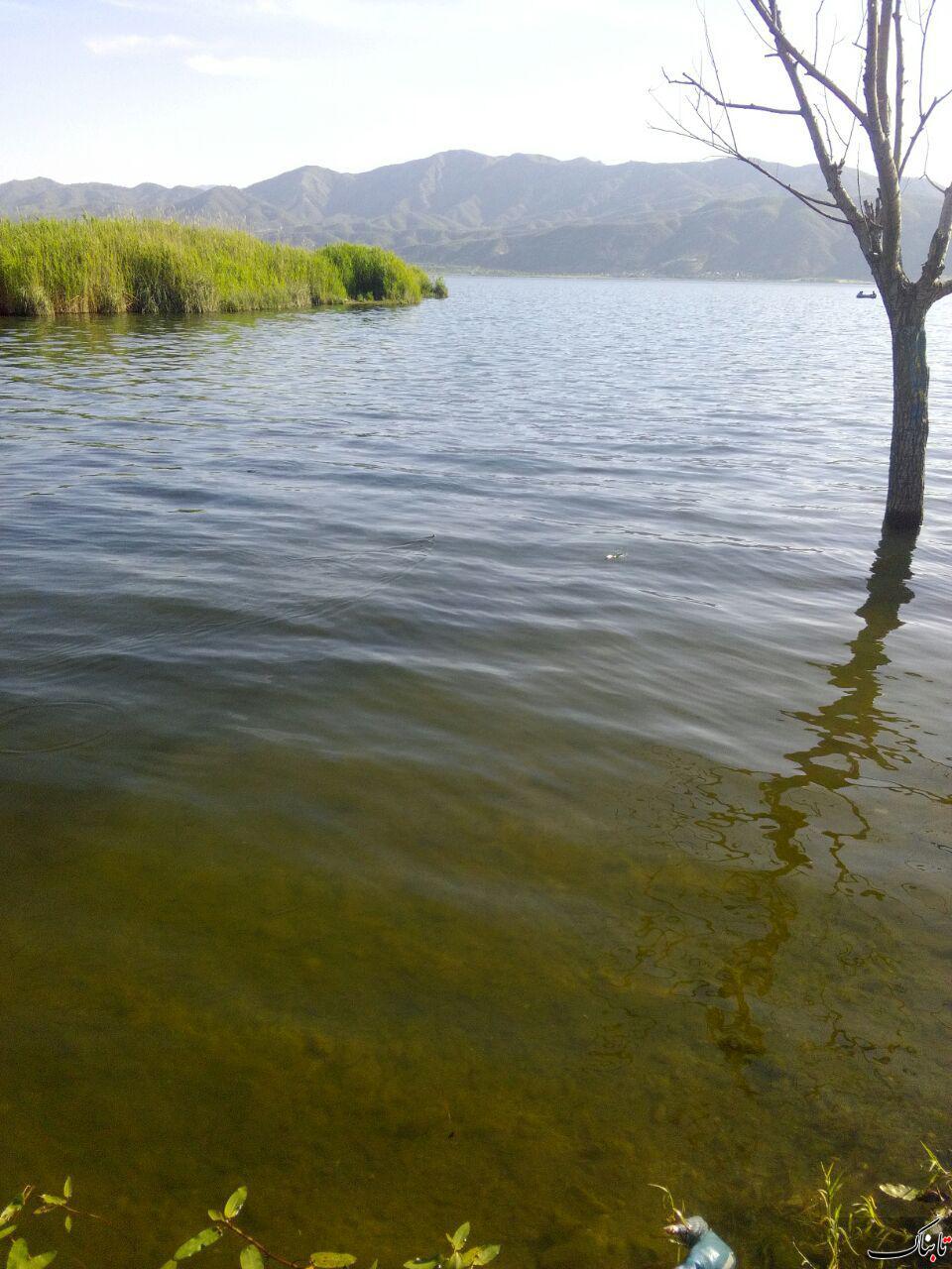 دریاچه زریبار مریوان - تابناک | TABNAK
