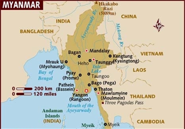 جزئیاتی از نسل کشی مسلمانان روهینگیا و نقش «بن لادن» بودایی ها