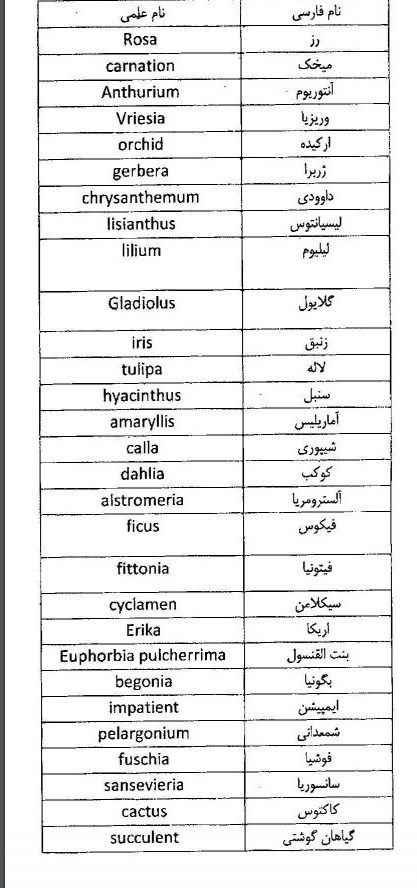 شرایط صادرات گل آسان شد + سند