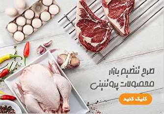 شبهاتی جدی که به توزیع اینترنتی گوشت تنظیم بازار وارد است!