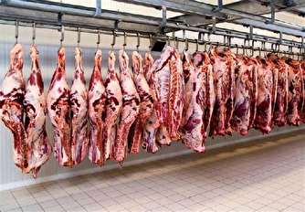 راز توقف گوشت مورد نیاز شش ماه استان تهران در گمرک چیست؟!