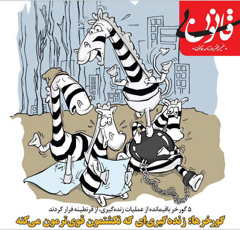 کاریکاتور: فرار جنجالی گورخرها کاریکاتور: فرار جنجالی گورخرها
