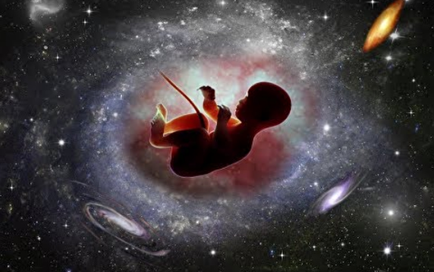 تاثیر به دنیا آمدن در فضا روی نوزاد انسان