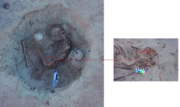  			 				 					کشف گور ۳۷۰۰ ساله زن باردار در مصر 				 			 		