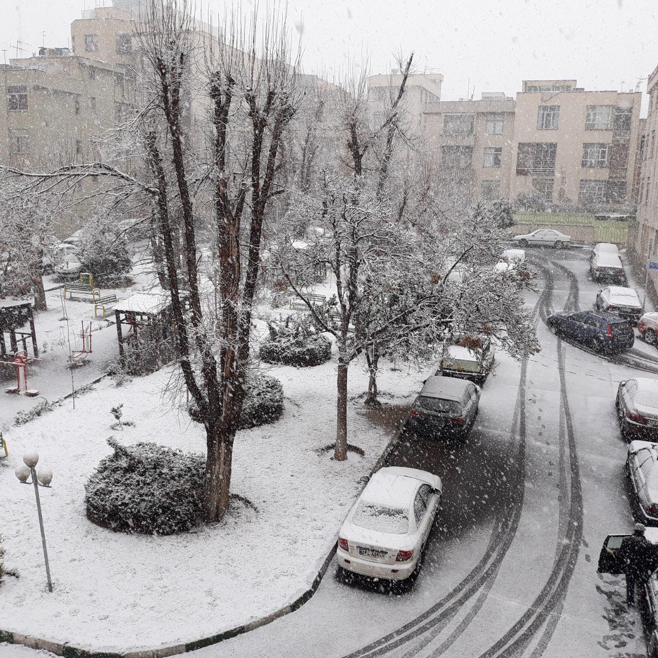  			 				 					بارش برف در تهران 				 			 		