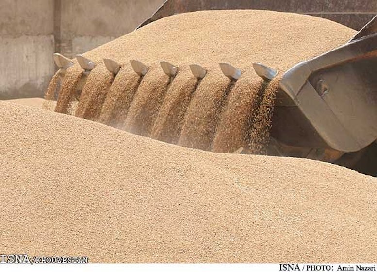  			 				 					خوزستان گندم بیش از ۱۲ میلیون نفر را تامین می‌کند 				 			 		
