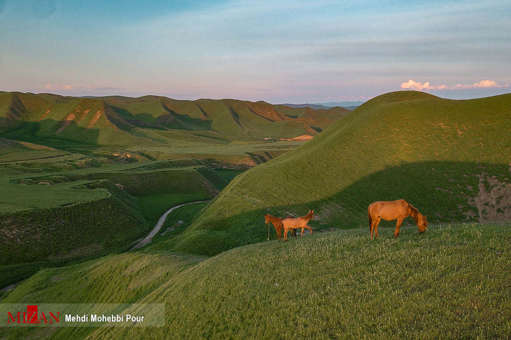 طبیعت زیبا و بهاری مراوه تپه در استان گلستان - تابناک | TABNAK