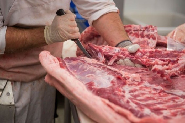 واسطه‌هایی که جلوی کاهش قیمت گوشت را گرفته اند/ واردات بیش از ۴۰۰ هزار تن گوشت، اما ارزانی قطره چکانی!