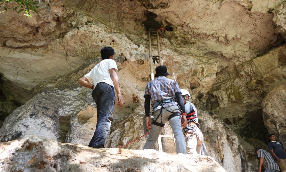  			 				 					کشف غارنگاره ۴۴۰۰۰ ساله در اندونزی 				 			 		