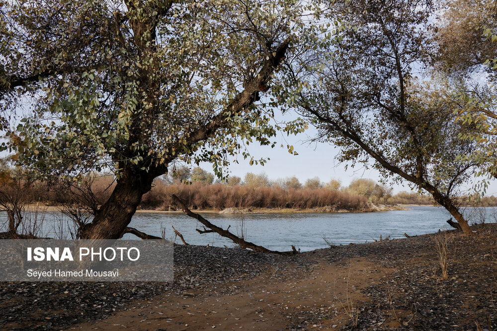 طبیعت بکر و زیبای شهر تاریخی شوش - تابناک | TABNAK