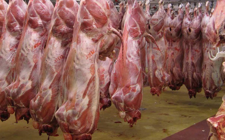                                                    علت گرانی گوشت چیست؟                                       