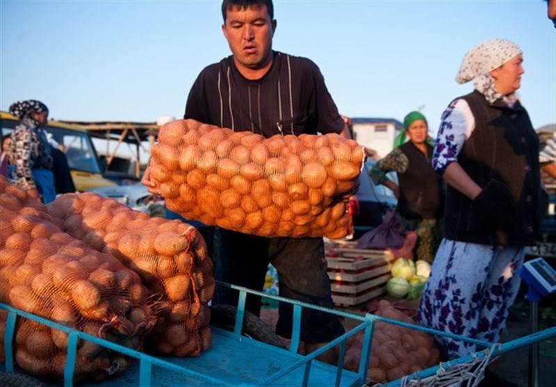 زنجیره تأمین غذا در آمریکا مختل شد