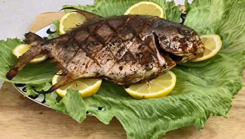 طرز تهیه ماهی با مرینیت آلبالو
