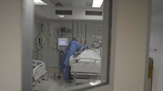 عبور مبتلایان به کرونا در جهان از مرز ۱۲ میلیون تن