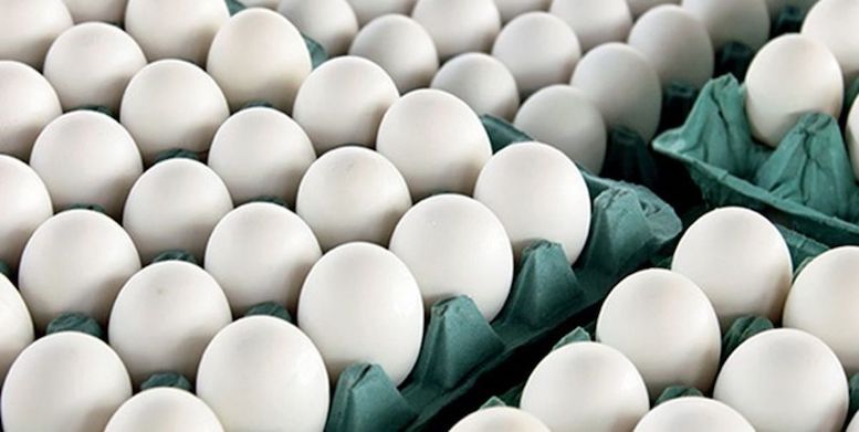                                                    فروش تخم مرغ بیش از ۱۱ هزار تومان گرانفروشی است                                       