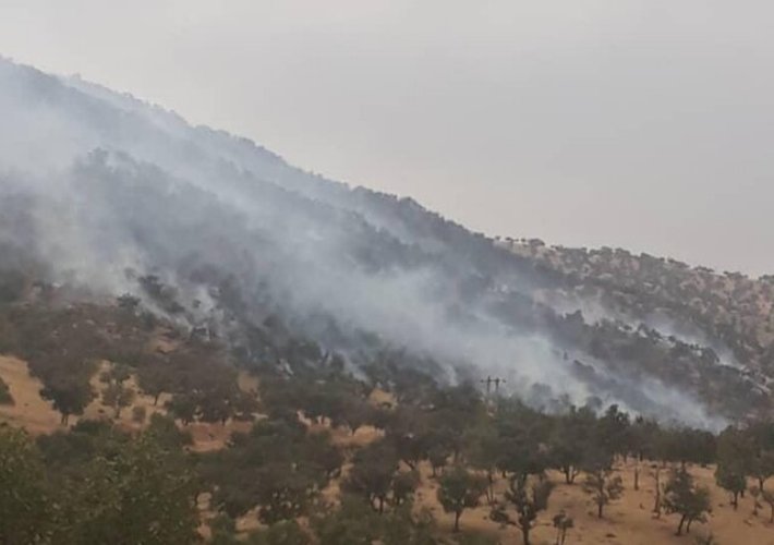                                                    آتش سوزی در جنگل‌ها و مراتع منطقه حفاظت شده دنا                                       