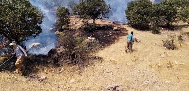 آتش سوزی در جنگل‌ها و مراتع منطقه حفاظت شده دنا