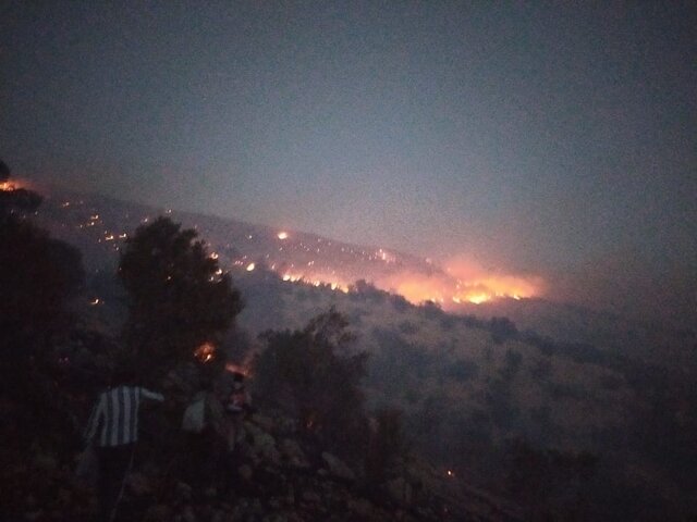 آتش سوزی گسترده در جنگل‌های کوه سفید لنده
