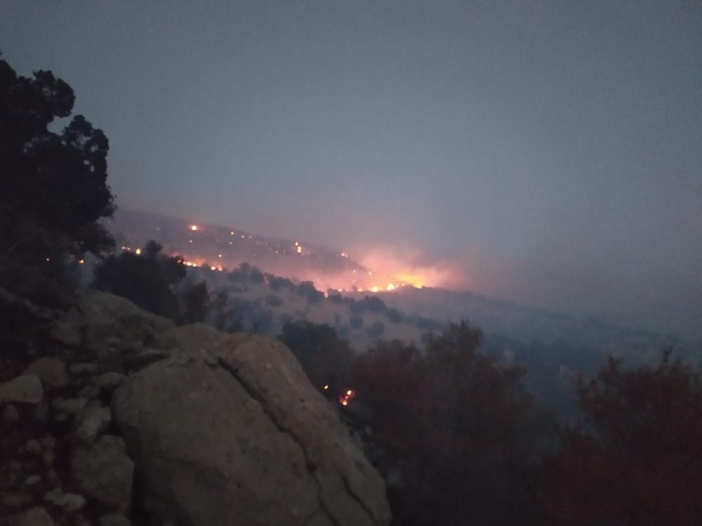 آتش سوزی گسترده در جنگل‌های کوه سفید لنده