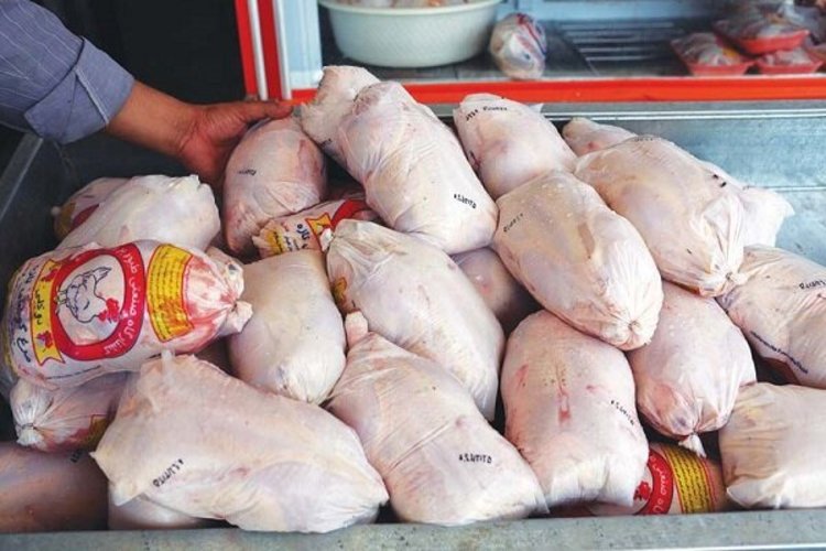  قیمت مرغ ١۵ هزار تومان کاهش یافت 