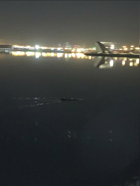                                                    اولین تصویر از موجود شبیه تمساح در دریاچه چیتگر                                       