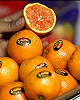 پشت پرده نابودی ۳۰ هزار تُن پرتقال در انبارها/ طمع سود بیشتر، کام مردم را تلخ کرد
