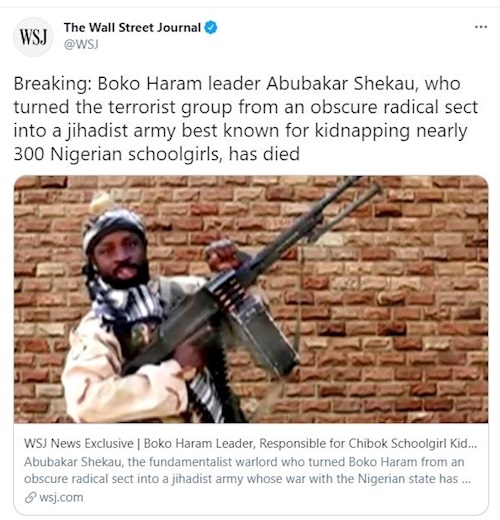 کشته شدن سرکرده گروه تروریستی بوکوحرام 