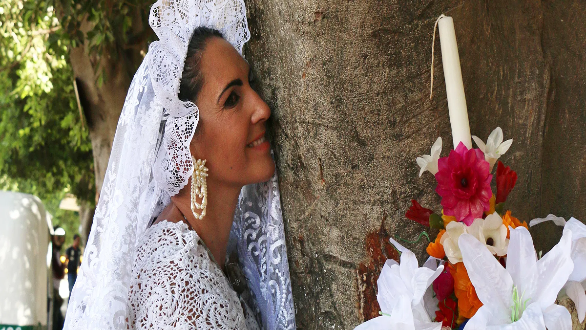 ازدواج ۷۰ زن با درختان در اعتراض به جنگل‌زدایی