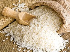 چرا تصمیم «شرکت بازرگانی دولتی» برای کاهش قیمت برنج، عده‌ای را ناراحت کرده است؟