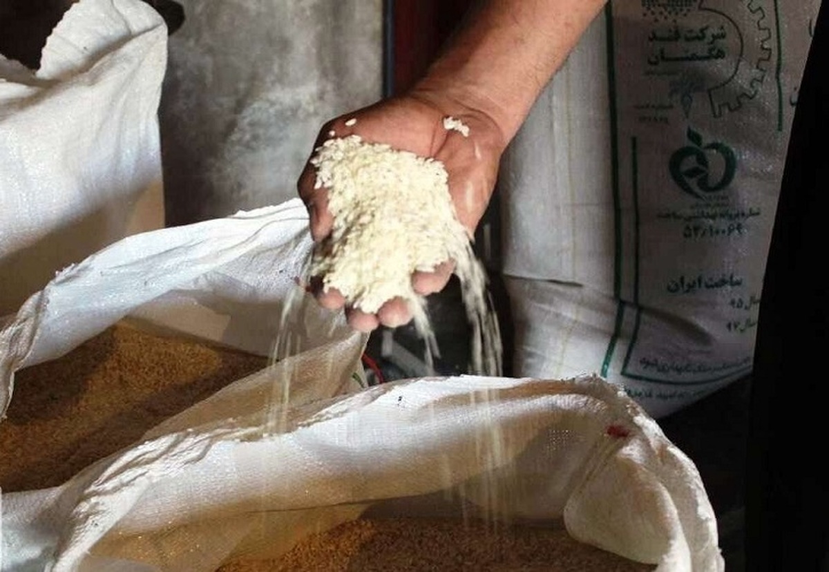 برنج شمال روی دست برنج فروشان باد کرد!