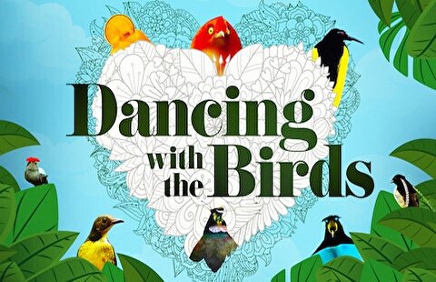 رقص با پرندگان در قلب طبیعت