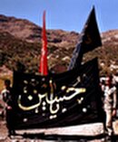 دلم می‌خواهد مثل حضرت ابوالفضل(ع) شهید شوم