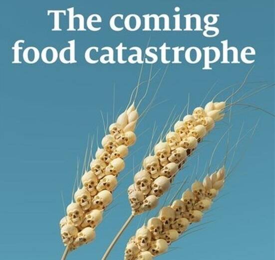                                                    هشدار اکونومیست: فاجعه غذایی در راه است                                       