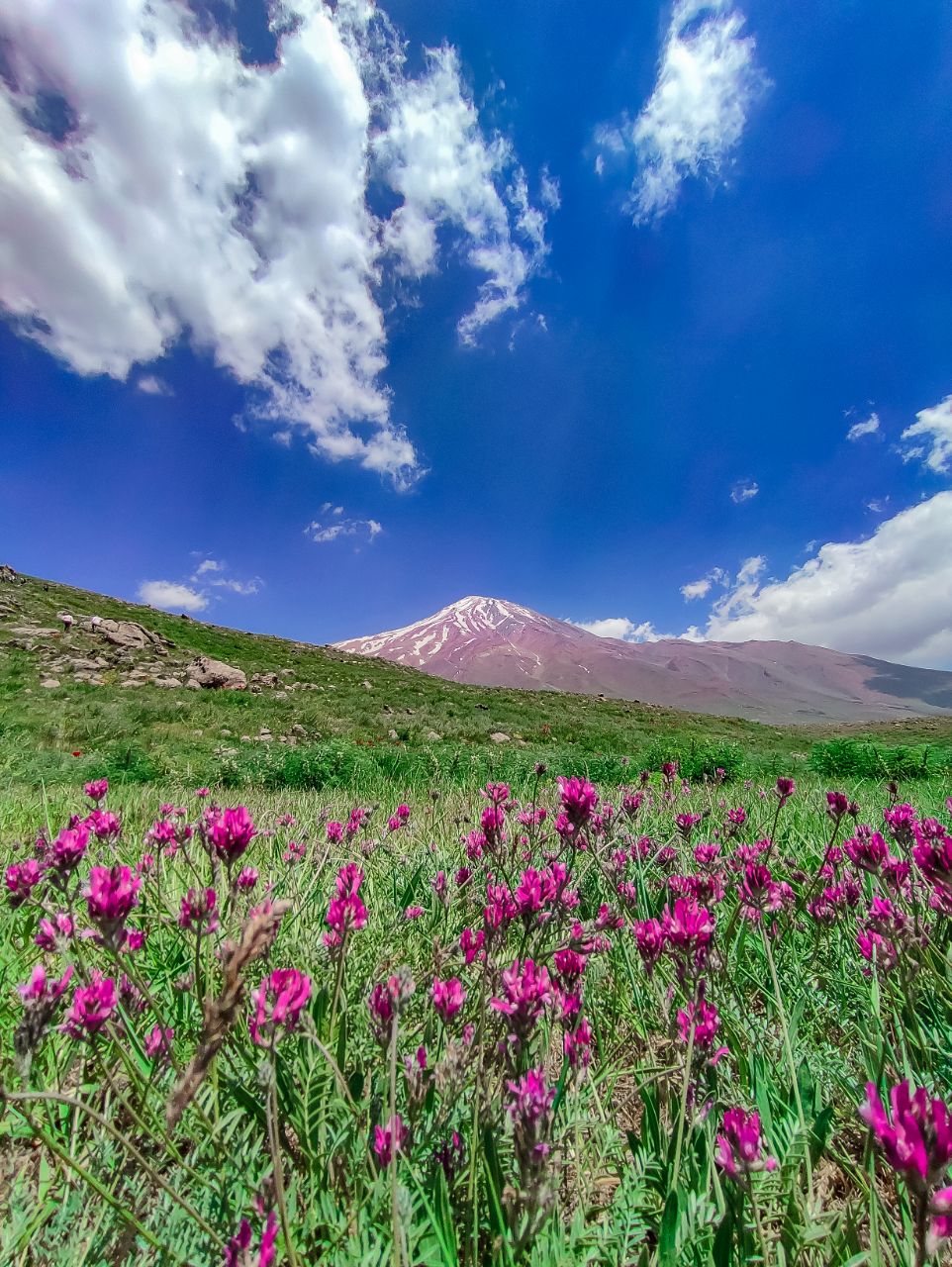 نمایی زیبا از قله دماوند در بهار