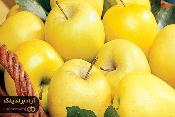 خرید سیب زرد لبنان به صورت مستقیم از تولید کننده