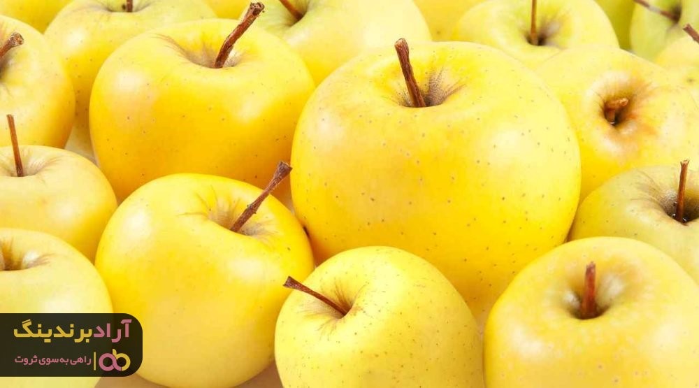 خرید سیب زرد لبنان به صورت مستقیم از تولید کننده
