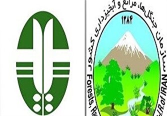 فصل رسیدگی به پیشنهاد وصله پینه شده ادغام دو سازمان از راه رسید!
