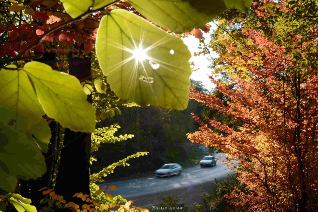 طبیعت زیبای پاییزی چهاردانگه ساری