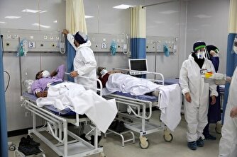 احتمال شدت گرفتن موج هشتم کرونا در ایران و افزایش مرگ و میر