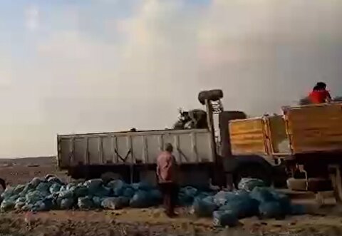 نابود کردن کامیون‌های خیار به دلیل نداشتن خریدار!