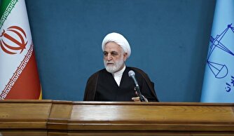 اژه‌ای: باید موانع بی اعتمادی طرفین در بازگشت به وطن رفع شود/ در مورد دوتابعیتی‌ها باید به شورای عالی اختیاراتی داده شود/ وزیر امور خارجه: مساله دو تابعیتی ها نیازمند تحول اساسی است