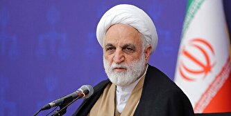 نظر اژه‌ای در رابطه با منفک شدن سازمان ثبت اسناد از قوه قضائیه؛ تابع قانونیم اما ملاحظاتی دارد!