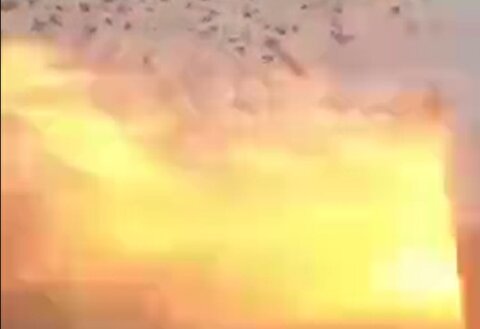 ویدیوی درون هواپیمای آتش گرفته در آسمان کیش