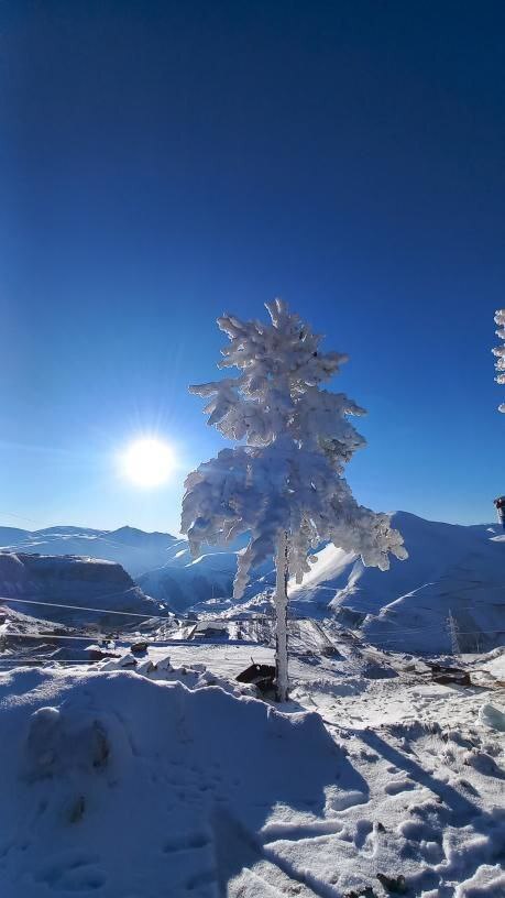 یخبندان سیبریایی در این منطقه از ایران رخ داد!