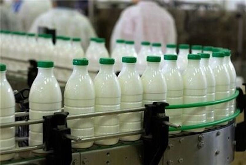  موافقت دولت با افزایش ۲۵ درصدی قیمت شیرخام 