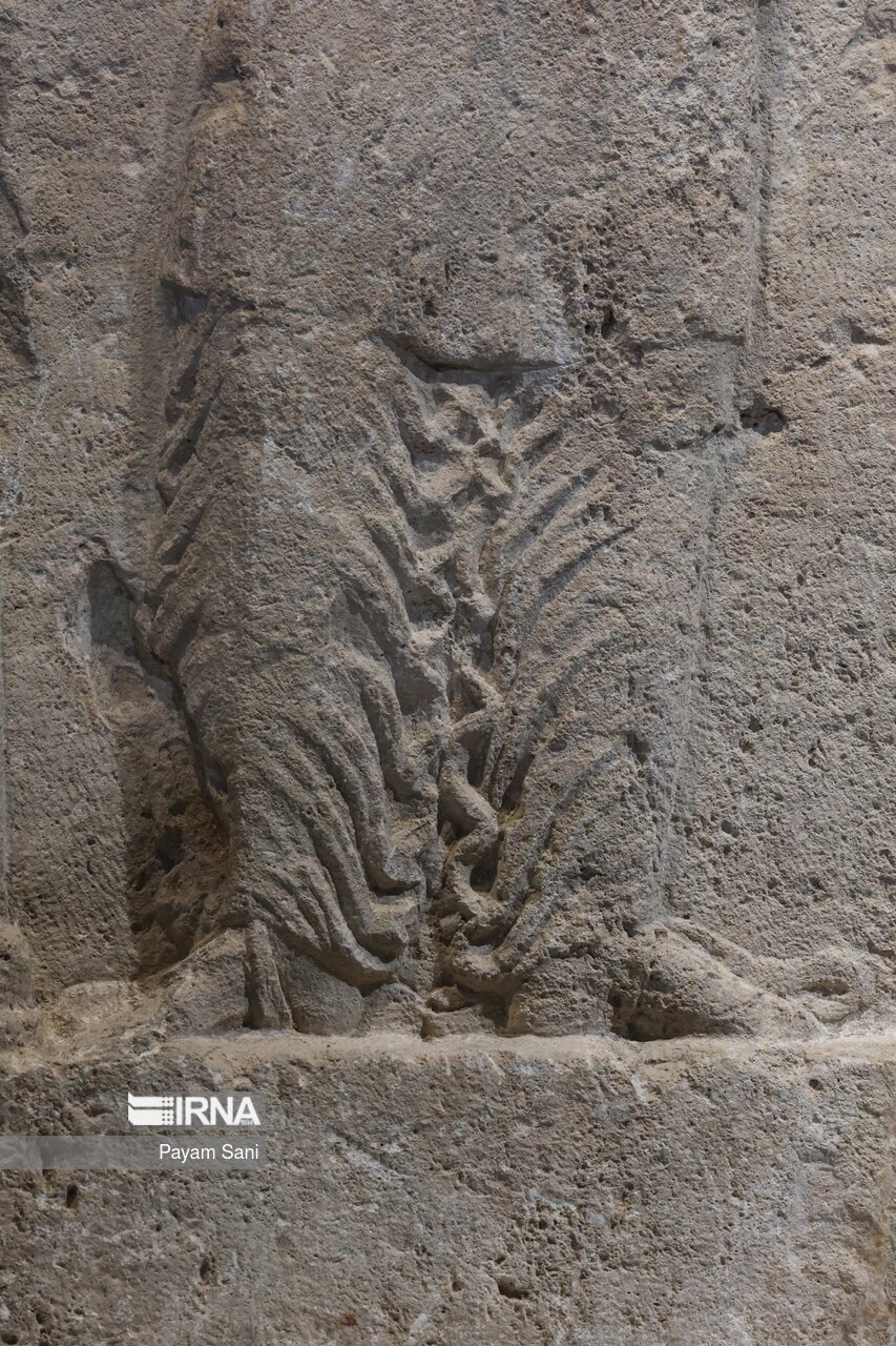 بدن نمایی میلف ایرانی