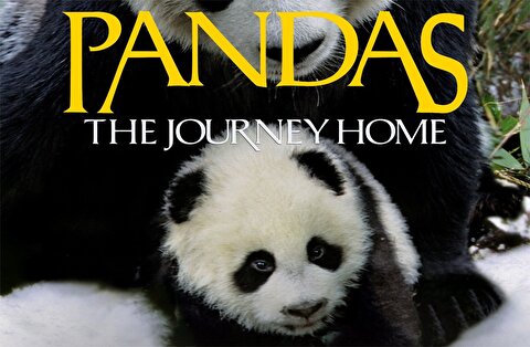 مستند پاندا: سفر به خانه