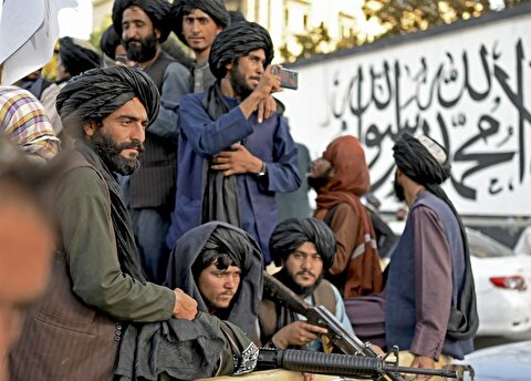 تمجید عضو مطرح طالبان از مولوی عبدالحمید
